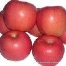 Manzana fresca de China / alta-Qualitied frutas